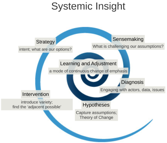 systemic insight overview